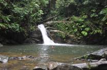 Cachoeira do Rio Seco, no Parque Nacional de Matura, em Trinidad